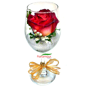 Presentación de una rosa seleccionada dentro de una copa. Flor viva bebiendo agua complementada con paniculata, cuarzo blanco y follajes. (Disponible. Sólo en Santiago de Chile) Seleccione color. Puede agregar peluche o bombones opcional.